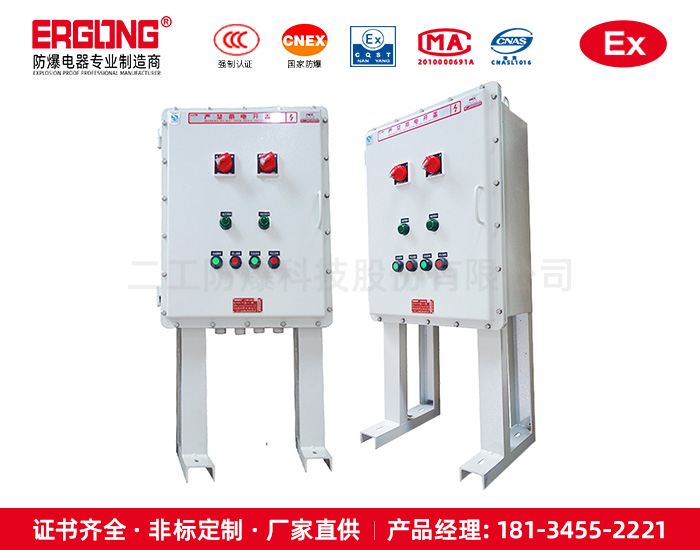 防爆控制箱（柜）-廠家批發